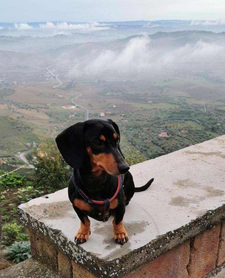 Da Carlotta Catánia